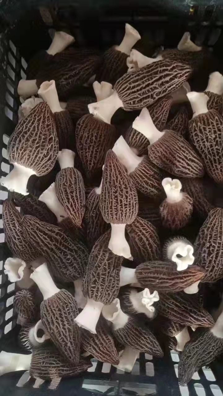 &#0;